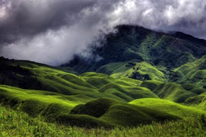 Glimpse of Natural Beauty (North East India)
