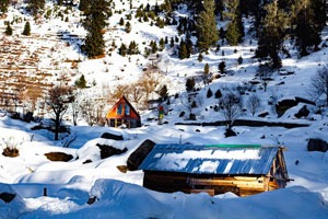 Himachal Delights